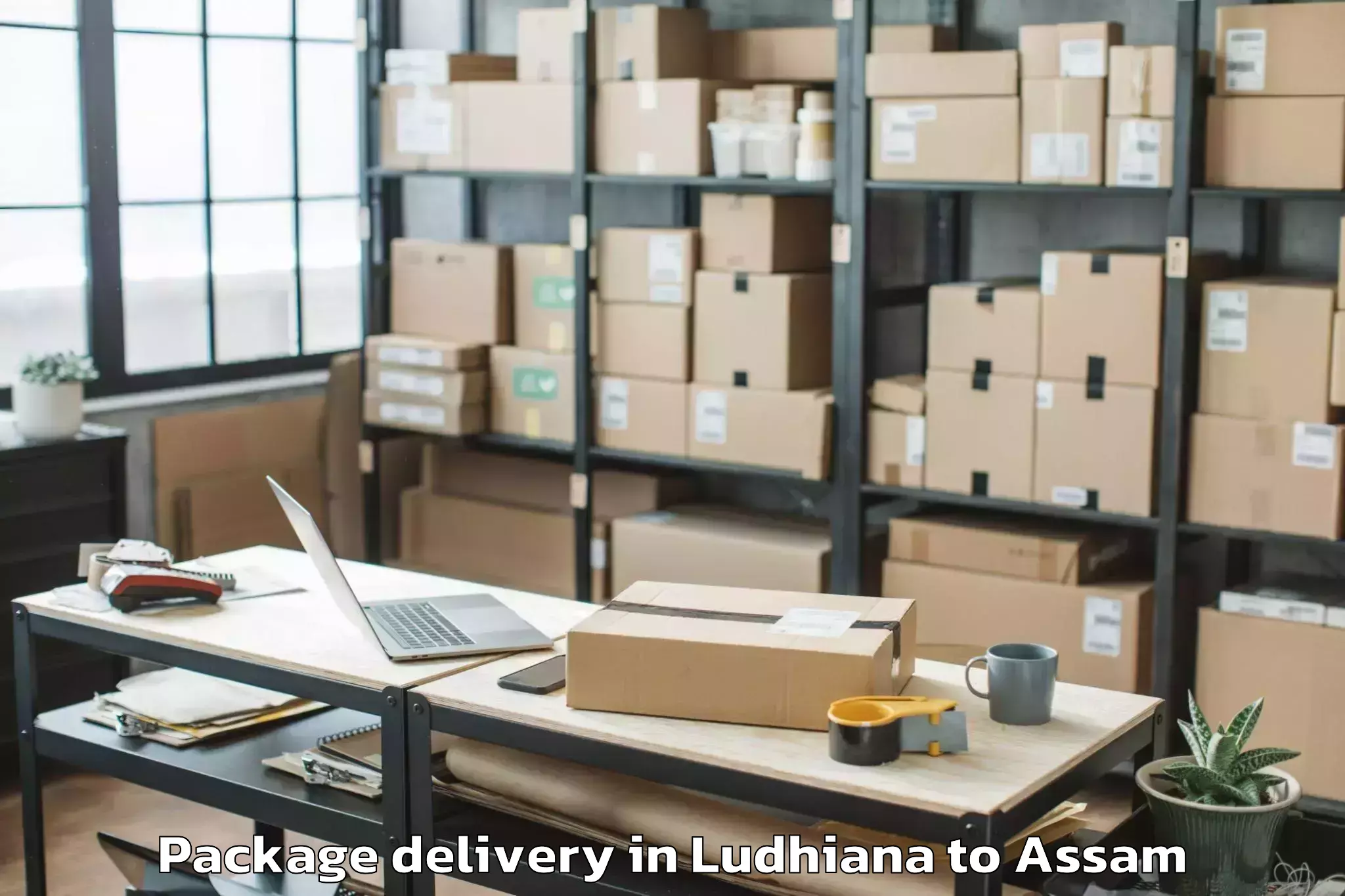 Professional Ludhiana to Abhayapuri Package Delivery